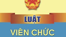 Quyết định số 304/QĐ-TTg: Ban hành Kế hoạch triển khai thi hành Luật Viên chức
