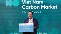 Phát triển thị trường carbon: Bước đi chiến lược của Việt Nam hướng tới Net Zero