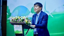 Phát triển thị trường carbon sẽ là chìa khóa cho chuyển đổi xanh thành công