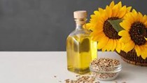 Ukraine hạ dự báo sản lượng và xuất khẩu hạt, dầu hướng dương 2024/2025