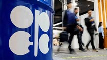 UAE rút khỏi OPEC: Tác động mạnh đến thị trường dầu mỏ toàn cầu