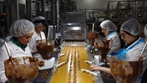 Hoạt động sản xuất của khu vực đồng Euro giảm mạnh trong tháng 11/2024