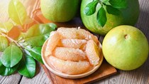 Xuất khẩu bưởi: Tín hiệu tích cực từ những “cánh cửa” mới