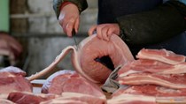 Nhập khẩu ngũ cốc, thịt lợn và đường của Trung Quốc vào tháng 6/2022