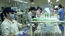 Người Thái đầu tư gần 7 tỷ USD vào công nghiệp chế biến của Việt Nam
