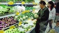 Công bố 69 địa chỉ bán nông lâm thủy sản an toàn trên cả nước 