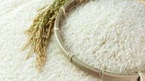 Giá gạo Thái Lan cao nhất 9 tháng do nhu cầu mới, gạo Việt Nam vững