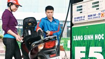 Giá xăng E5 sẽ thấp hơn xăng khoáng