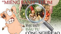 Nông nghiệp Việt: “Miếng bánh” thơm thu hút đầu tư công nghệ cao