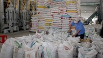 Nhiều khả năng lượng gạo xuất khẩu năm nay ở mức dưới 6 triệu tấn