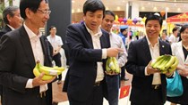Chuối Việt Nam được bán tại hệ thống siêu thị Aeon toàn Nhật Bản