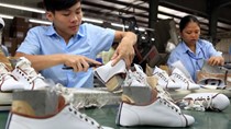 Ngành da giày Việt Nam khắc phục điểm yếu đón loạt FTA mới ký kết
