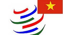 Việt Nam - thành viên của WTO