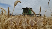 FAO: Giá lương, thực phẩm thế giới tăng cao nhất trong 2 năm