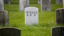 Bức tranh thương mại toàn cầu hậu TPP