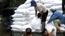 Gạo Việt Nam tìm cơ hội từ thị trường ngách