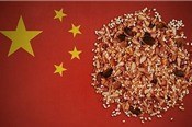 Vì sao Trung Quốc đi “thu gom” hạt giống khắp toàn cầu?