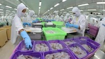 Giải pháp khắc phục thẻ vàng của EU đối với thủy sản Việt Nam