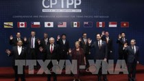 Bộ trưởng Trần Tuấn Anh: CPTPP giúp VN có điều kiện tiếp tục cất cánh ở mức độ mới