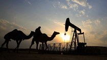 Nội bộ OPEC mâu thuẫn trước thềm cuộc họp quan trọng