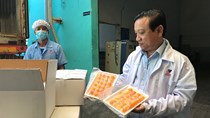 Việt Nam lần đầu tiên XK trứng vịt muối sang Úc