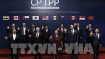 CPTPP: Nhiều lĩnh vực của Mexico lo yếu thế trước Việt Nam