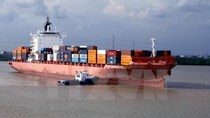 Vận chuyển container đường biển của Việt Nam đang có tiềm năng lớn