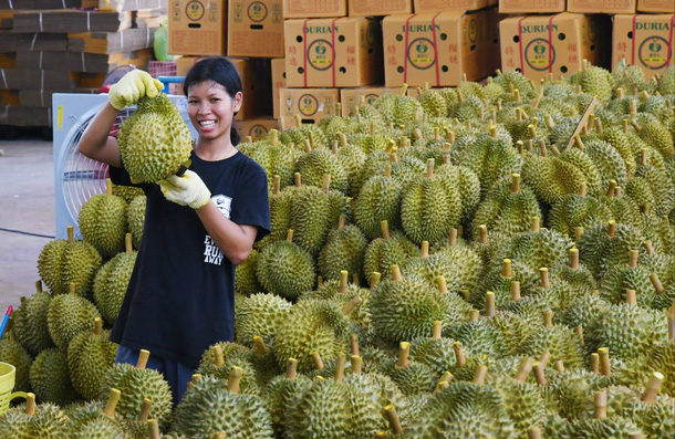 Châu Á năng động: Trung tâm mới của sự tăng trưởng