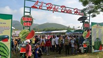 Đặc sắc Lễ hội dưa hấu lần đầu tiên ở Việt Nam