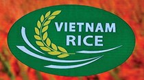 Dấu ấn 'Vietnam Rice'. Bài 2: Bứt phá từ thương hiệu quốc gia