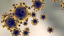 Cập nhật thông tin về virus corona ngày 7/2 và công tác phòng, chống dịch của Bộ CT