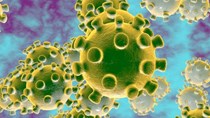 Cập nhật thông tin về virus corona ngày 9/2 và công tác phòng, chống dịch của Bộ CT