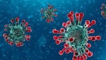 Cập nhật thông tin về virus corona ngày 10/2 và công tác phòng, chống dịch của Bộ CT
