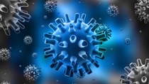 Cập nhật thông tin về virus corona ngày 13/2 và công tác phòng, chống dịch của Bộ CT
