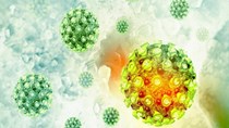 Cập nhật thông tin về virus corona ngày 17/2 và công tác phòng, chống dịch của Bộ CT