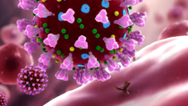 Cập nhật thông tin về virus corona ngày 20/2 và công tác phòng, chống dịch của Bộ CT
