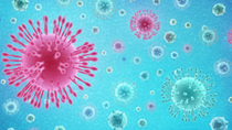Cập nhật thông tin về virus corona ngày 24/2 và công tác phòng, chống dịch của Bộ CT