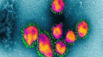 Cập nhật thông tin về virus corona ngày 25/2 và công tác phòng, chống dịch của Bộ CT
