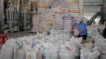 Long An kiến nghị xuất khẩu lại gạo nếp không giới hạn sản lượng