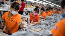 Economist: Việt Nam nằm trong nhóm nền kinh tế an toàn