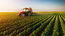 13 điều ít biết về ngành nông nghiệp Mỹ