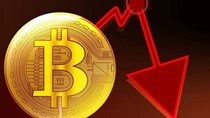 Giá Bitcoin biến động khó lường, sẽ sớm có “một mùa đông tiền số“?
