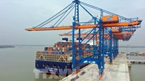 Hàng container qua cảng biển Việt Nam vẫn giữ đà tăng trưởng