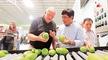 Nhiều dư địa cho trái cây tươi Việt Nam tại Hoa Kỳ