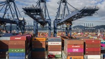 Chuỗi cung ứng toàn cầu đối mặt với thảm hoạ mới:Cảng lớn nhất nhì Trung Quốc bất ngờ dừng hoạt động