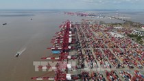 Thượng Hải tiếp tục dẫn đầu thế giới về số lượng container qua cảng