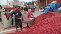 Tiêu thụ ớt ở Trung Quốc gặp khó khăn do dịch Covid-19