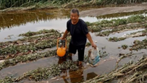 Gần 2% diện tích gieo trồng của ‘vựa’ ngũ cốc Trung Quốc bị thiệt hại do bão Doksuri