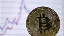 Giá bitcoin tăng vượt 50.000 USD