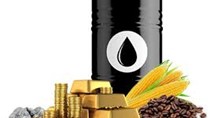 Hàng hóa TG sáng 23/10: Giá dầu, quặng sắt và cà phê tăng, đường và cacao giảm